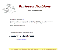 Tablet Screenshot of burleson-arabians.com